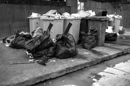 Professional skip hire service in Anerley