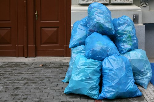 Professional waste management services in Anerley