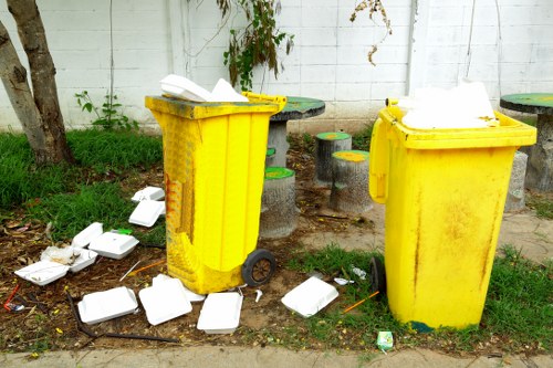 Environmental-friendly skip disposal in Anerley